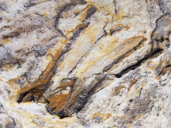 solar ash broken capital caches solar ash broken capital caches